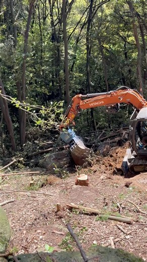 岩しかないところでの作業道開設をしてます‼️違う視点や続きをあげるのでぜひチェックしてください！✅#japan #forest #おすすめ #wood #林業機械 #林業 #hitachi #重機