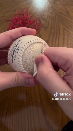 Exploring the Components Inside a Major League Baseball