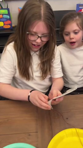 The String Plate Challenge – What Will You Pick?