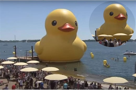 Did You See The World's Largest Rubber Duck on the East Coast?
