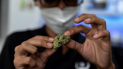 泰国是如何成为东南亚“大麻天堂”的？ - BBC News 中文