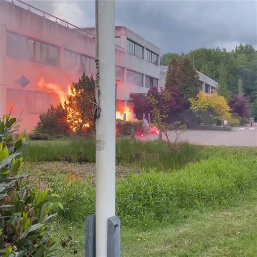 The entire Western World needs to follow the Netherlands’ example. 🔥
