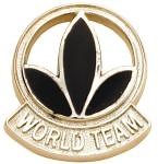 How to qualify to the World Team level as well as the Active World Team promotion in Herbalife - EZHealthBiz