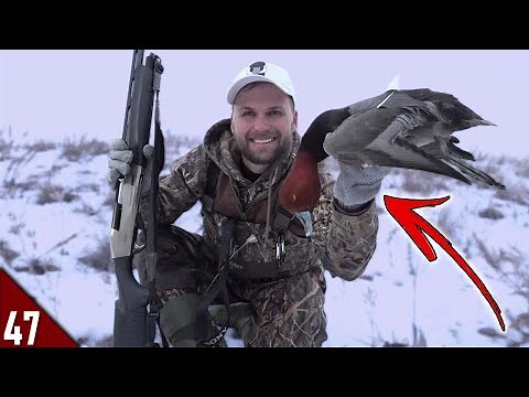 First DIVERS with My NEW 28 Gauge! | 2022 Duck Hunting