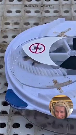 Rotating fly trap that works #shorts #DIY #clever