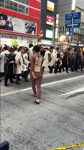 霞童 綱引き 東京よさこい2025 アゼリア通り 奪い、つなぐ