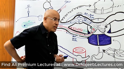 Why there is Dorsal Root Ganglion not Ventral Root Ganglion | Dr. Najeeb