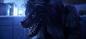 Review: WEREWOLVES Satiates Our Hunger for Werewolf Combat - Daily Dead