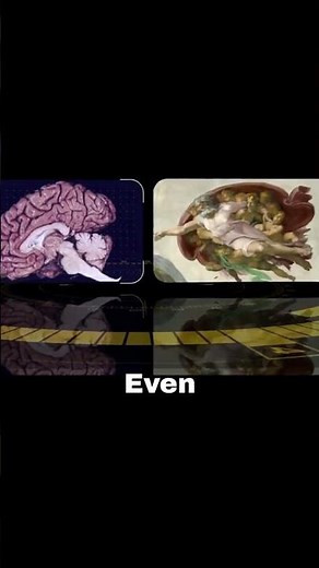 Michelangelo’s Hidden Brain: Secret Anatomy in Art!