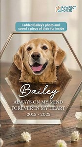 Custom Photo Pet Fur Keepsake - Pet Memorial Gifts For Dogs - Always In My Heart - TKN-HA0522-V2.2
