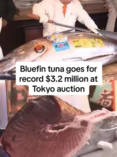 Japanese Restaurant Purchases Record Bluefin Tuna