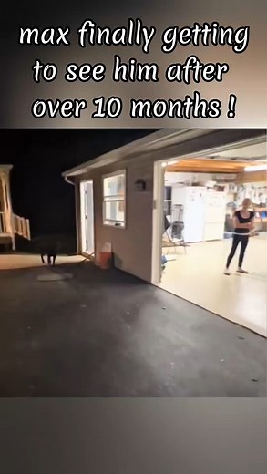 1.6M views · 47K reactions | They met again after long days apart.❤ #pet #cat #dog #cute #animals #foryou #typ | Reunion Soldier | Facebook