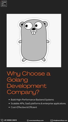 Why Golang is the Smart Choice for Your Next Project