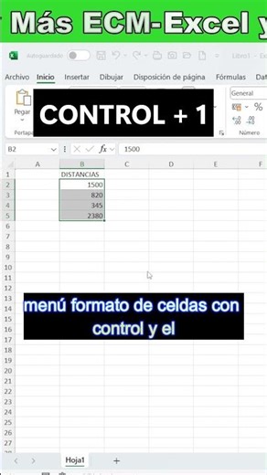 🎨 Cómo crear un formato personalizado en Excel