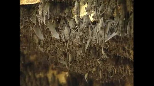 Karst Topography: A Unique and Fragile Environment