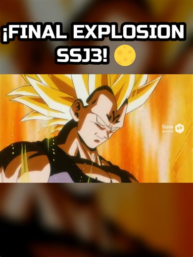 Majin Vegeta SSJ3 - Final Explosion in 90s Style