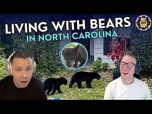 BRITS REACT to Living with North Carolina Black Bears