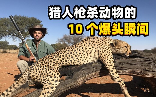 猎人枪杀动物的10个爆头瞬间：美洲狮被连开2枪，火鸡直接断头