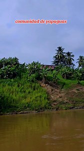 Wilito Cerrato on Reels