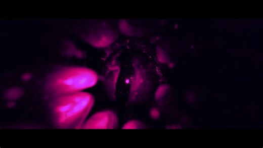 TRAILER Ash - Cenere mortale, l'horror sci-fi su Prime Video