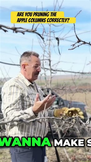 Apple Column Pruning Tip