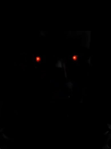 Rev-09 Creado por Legión | Edit Terminator Dark fate #Edit #parati #fyp #clips #terminatoredit #darkfate #rev9 #paratodos #terninator #fyp_viral #fyoupage