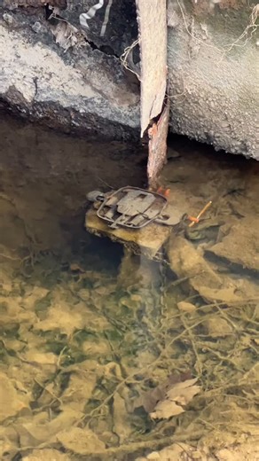 Todd Strohecker | Livin’ on the Top Edge 🐾 #minktrapping | Instagram