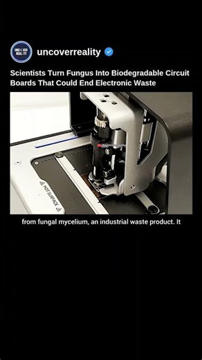 Scientists Turn Fungus Into Biodegradable Circuit Boards, Could End Electronic Waste #tech #shorts