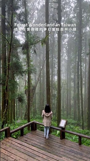 台灣宜蘭 🇹🇼 雲霧森林裡的童話仙境 Forest Wonderland in Taiwan