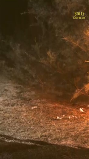 10K views · 79 reactions | Vishnu Vishal, Mia George In The Movie Time Machine (Indru Netru Naalai) . . . #bollywoodmovies #bollywoodreels #southindianmovies #thriller #timemachine #tollywood #actionmovies #moviescenes #facebookreels #reelsindia #reels2023fbreels #reelsviral❤️ | Bolly Comedy | Facebook