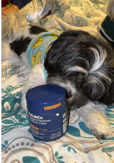 Observe the Difference: PetLab Co. Chews for Dogs