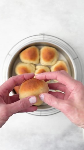 Today we’re going to PARBAKE my Gluten Free Dinner Rolls, so you can finish baking right before you sit down to eat Thanksgiving dinner. 🦃 See comments for full recipe! #dinnerrollsrecipe #glutenfreebread #glutenfreerollsrecipe . . . . . https://glutenfreeonashoestring.com/gluten-free-dinner-rolls/ | Gluten Free on a Shoestring
