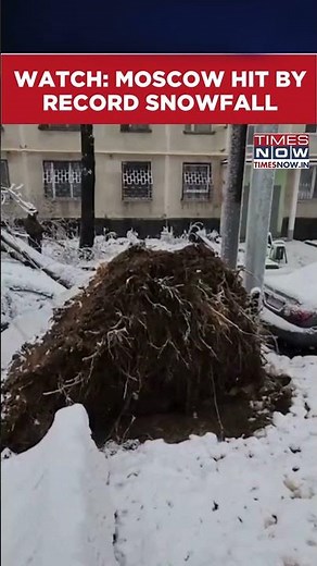 Russia News: Record Snowfall Hits Moscow | Watch Video #shorts