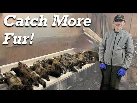 Setting for Marten in Alaska’s Backcountry: How To Make the Best Set