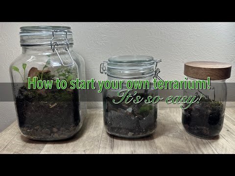 Step by step guide on creating your own closed ecosystems/terrariums