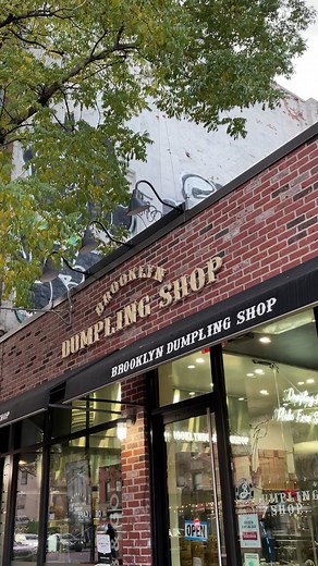Epic Dumpling Adventure at Brooklyn Dumpling Shop in NYC!