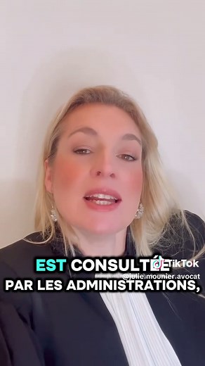 Comprendre le casier judiciaire et le TAJ en France