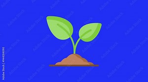 Animation of a plant growing, perfect for educational content, nature documentaries, and garden-themed presentations. Ideal for illustrating concepts of growth, botany, and environmental science.
