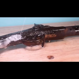 7.5K views · 124 reactions | Nightmare Musket Restoration #fblifestyle #firearm | Dr Restoration | Facebook