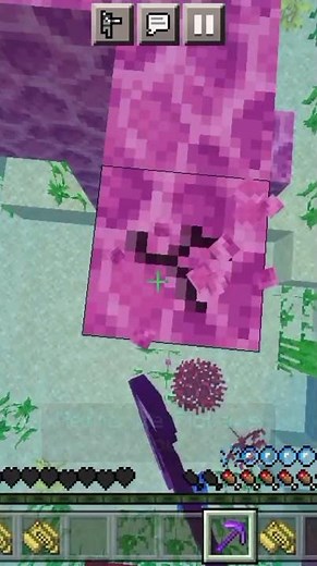 Minecraft brain coral block moment...