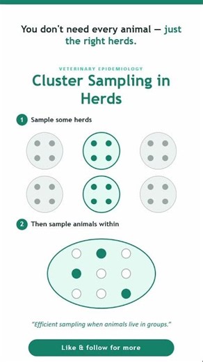 What is Cluster Sampling?