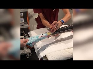 Doctors pull entire beach towel out of python’s mouth