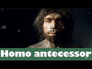 ⭐Homo antecessor ¿el primer hombre europeo? 📗 aulamedia Historia
