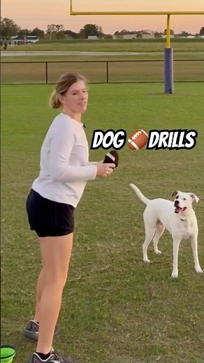 Dog Drops Touchdown Pass in the End Zone!