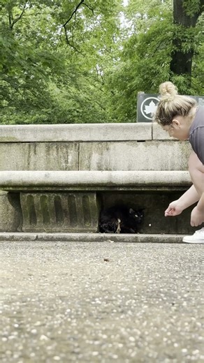 Rescuing a cat in rough shape
