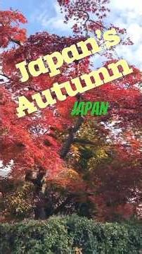 #Autumn #japan #landscape