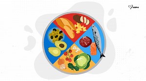 3.8K reactions · 546 shares | In this episode of #DECODE, learn about...