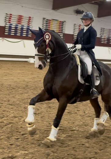 Mastering Dressage Techniques for Equestrian Success