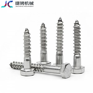 [Hot Item] 304 (18-8) Stainless Steel Hex Head Lag Bolt Coach Bolts/Large Screws