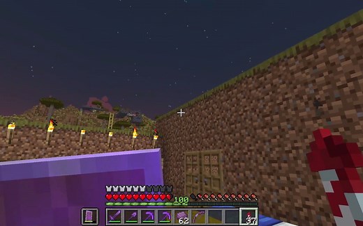 minecraft1.19不修改gamma值即可实现夜视效果的方法